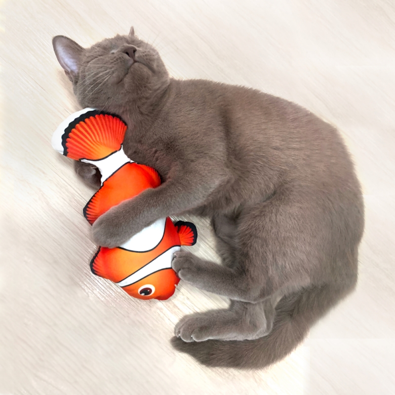 [공급업체직배송] 펫케어 춤추는 생선 고양이 장난감 (크라운 피쉬)